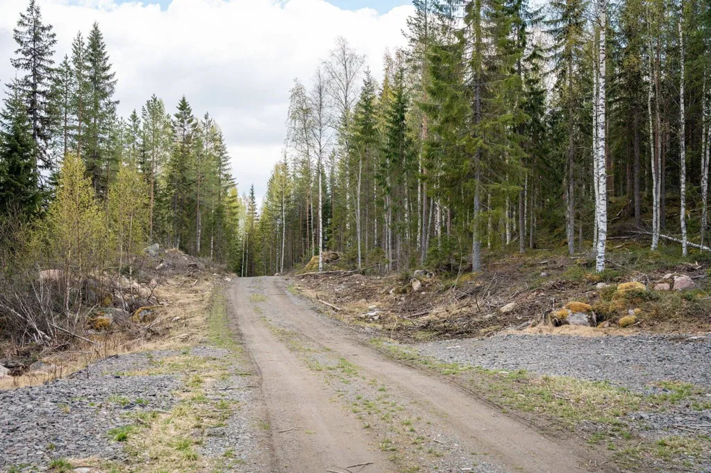 Jardin - Forest Farm with Timber Rights in Östra Jämtland
