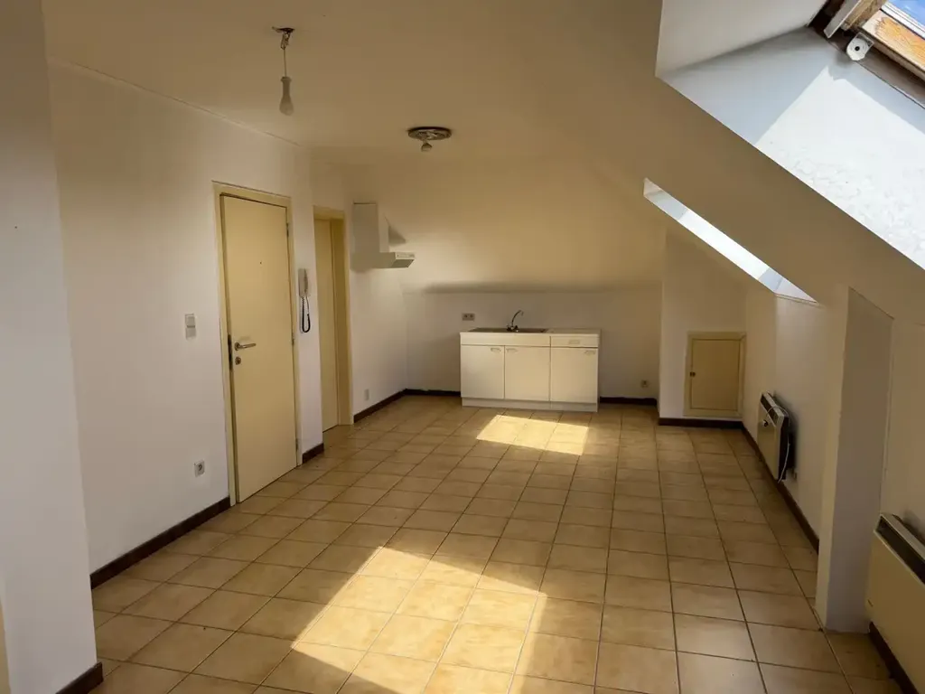 Toad - Duplex Apartment with 4 Bedrooms in Brustem Centre