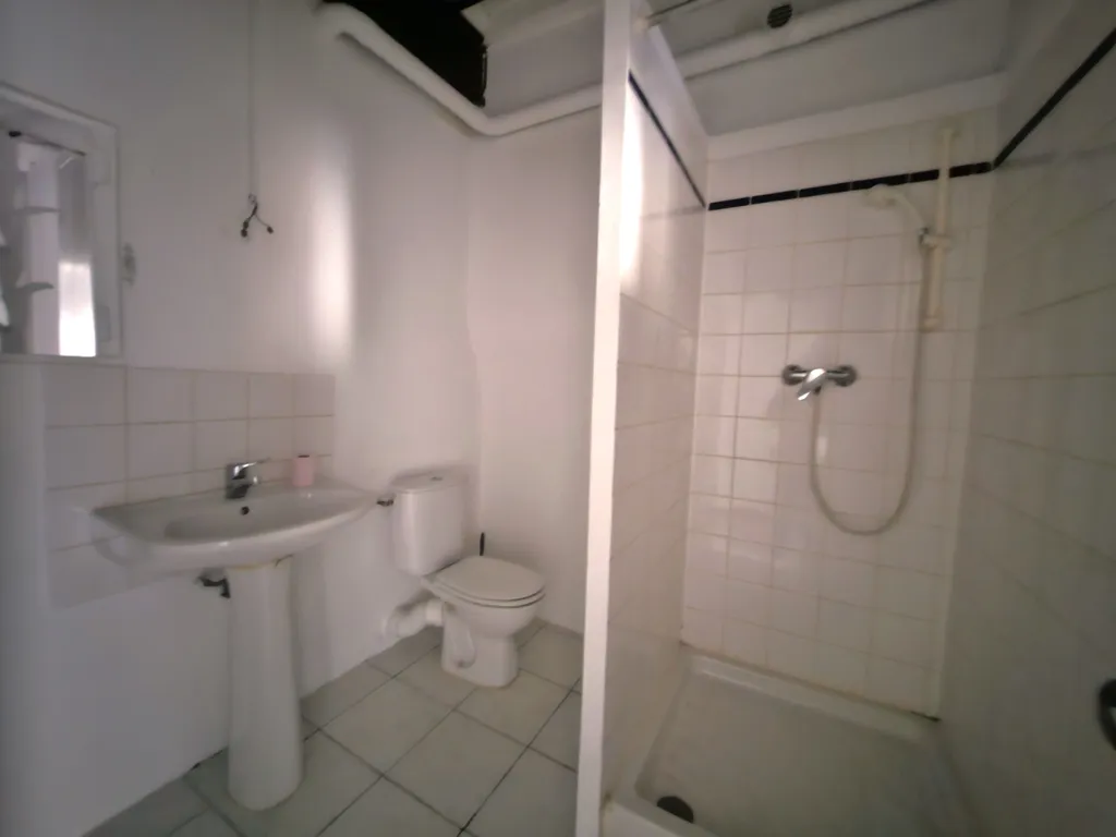 Vannitoad - Duplex Flat in Pedestrian Street, Castellane
