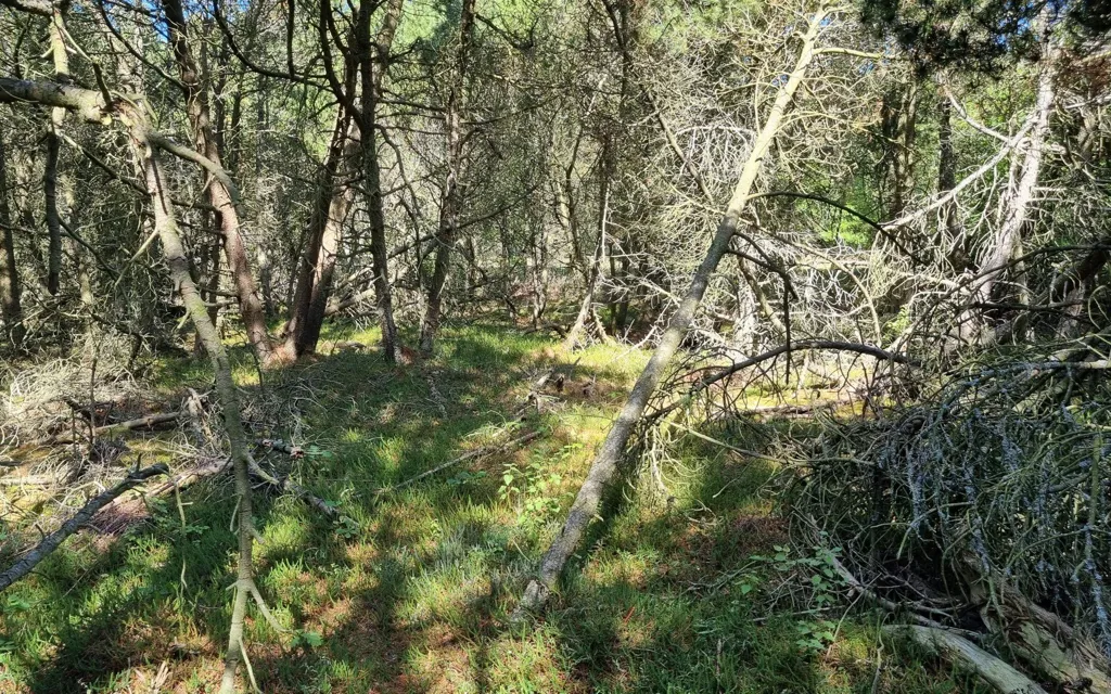 Terrain à Læsø