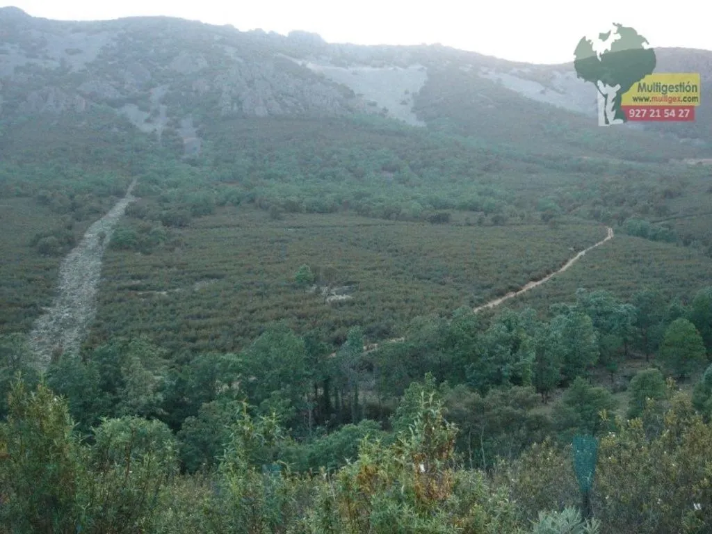 Aed - Luxury Villa with Forest Access in Guadalupe