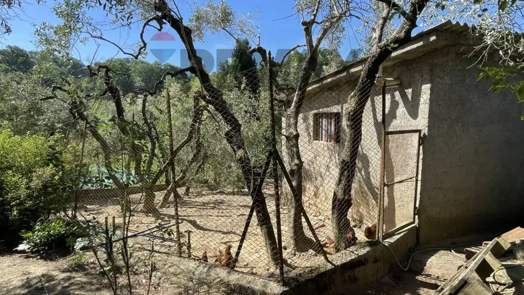 Extérieur - Tuscan Hamlet with Olive Groves in Vinci