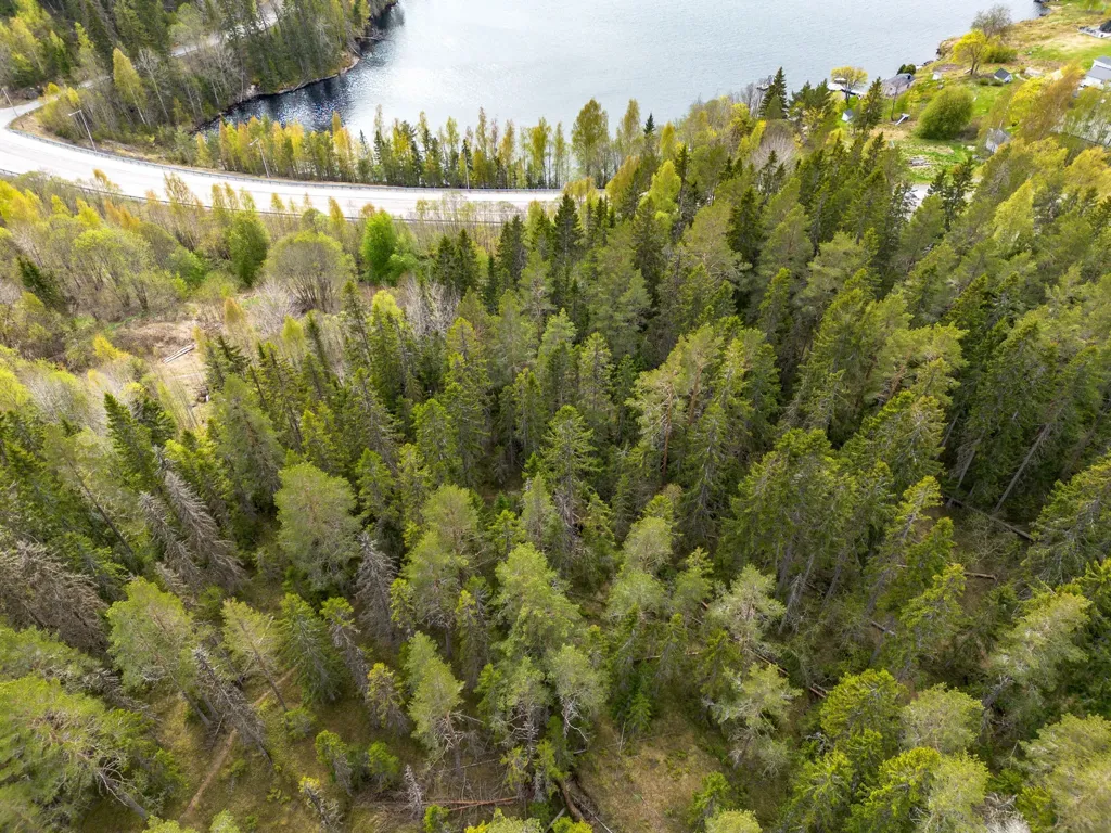 Vista aerea - Forest Cottage with Eco Heating in Hälledal