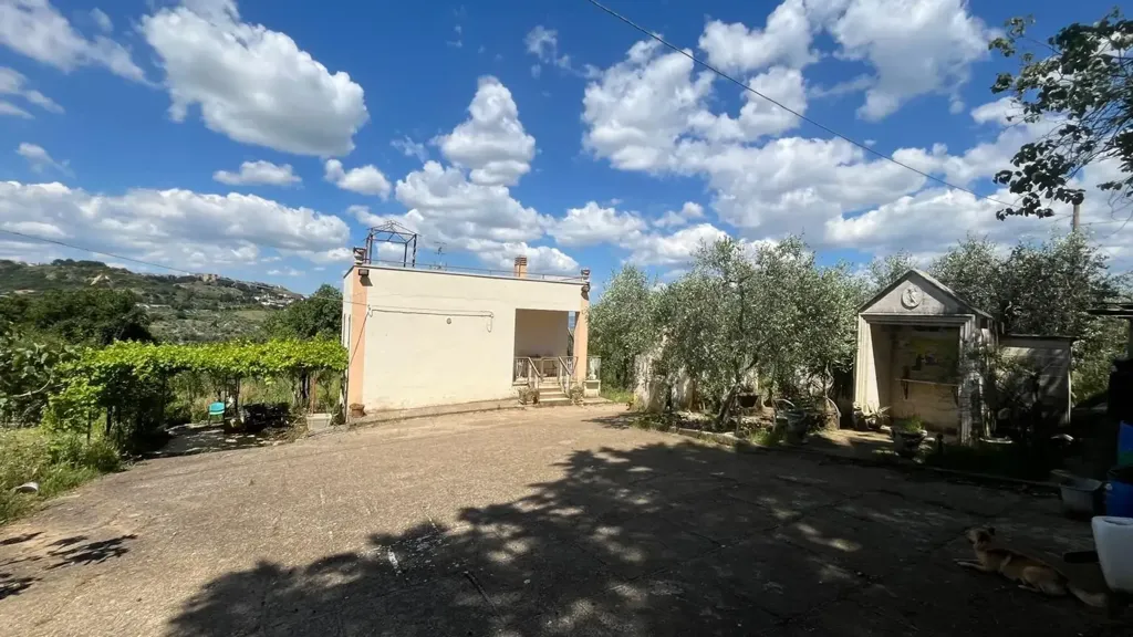 Aed - Villa with Olive Grove near Miglionico