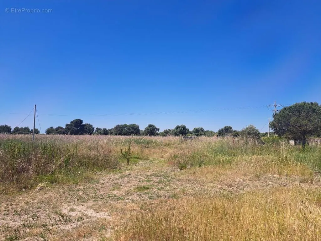 Terrain à Serignan