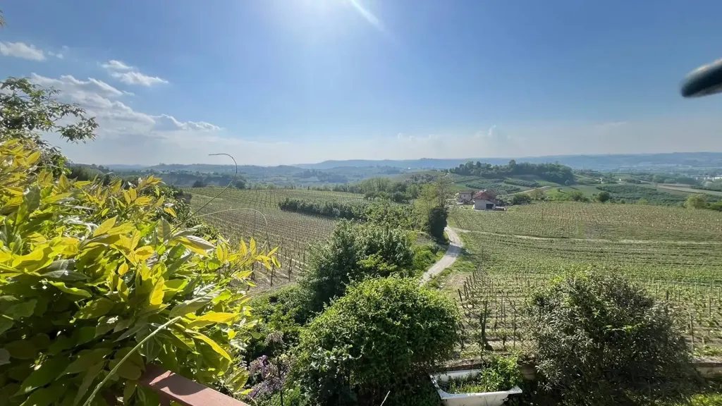 Aed - Rustic Farmhouse with Panoramic View in Castagnole delle Lanze