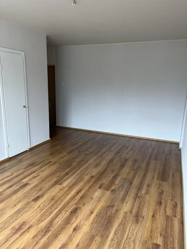 Toad - Bright Studio Flat in Kajaani Centre