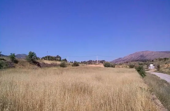 Giardino - Land Parcel in Romana, Alicante