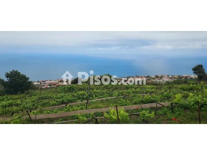 Aed - Rustic Farmhouse with Bodega near Calle Real