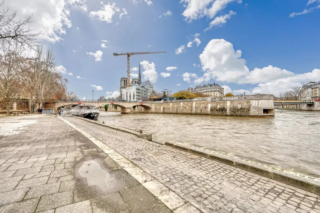 Period Charm Triplex with Seine View in Paris 5th