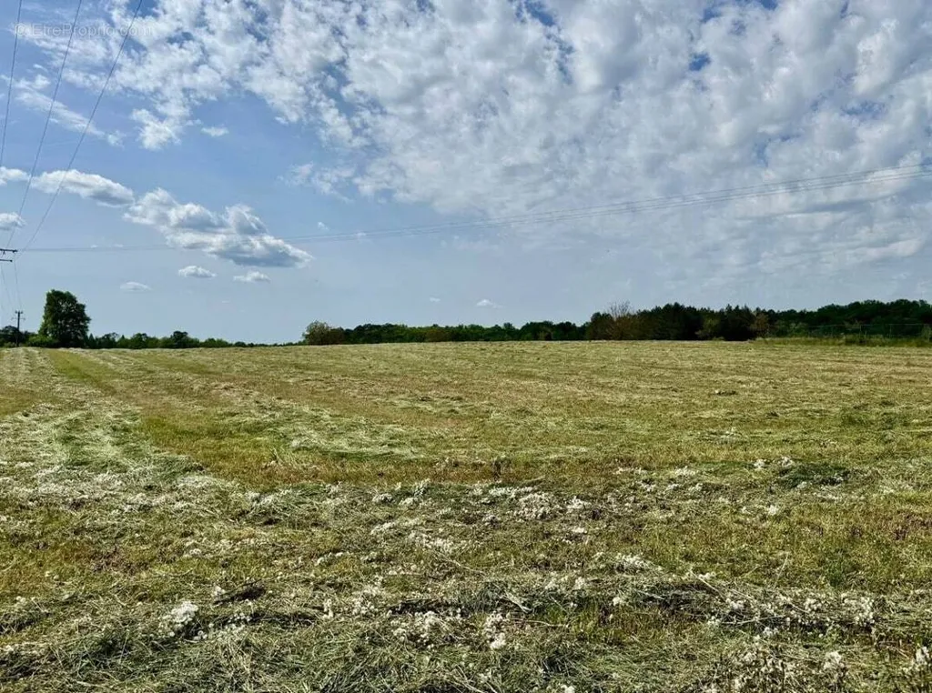 Aed - Constructible Plot in Champagnac-de-Belair