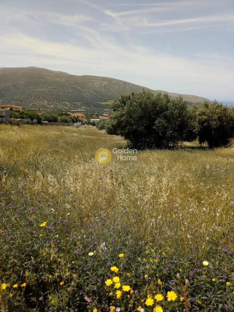 Jardin - Farmhouse with Panoramic View in Lagoni