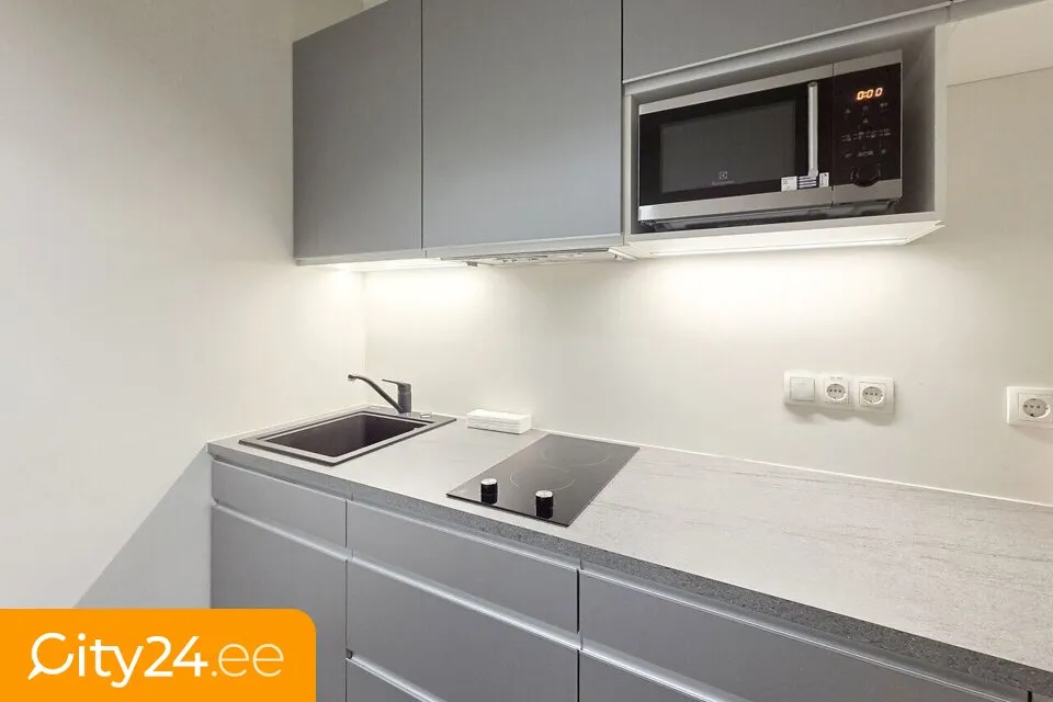 Cuisine - Office Space with Security in Tallinn City Centre