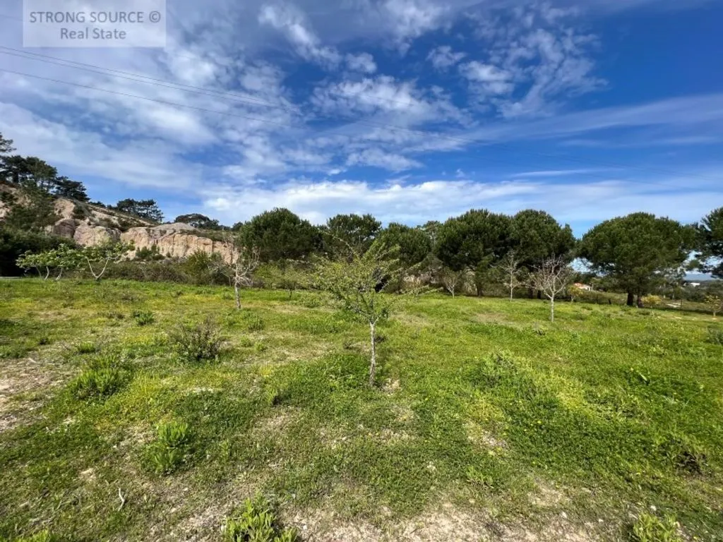 Jardin - Luxury Detached Villa with Pool in Casal das Figueiras