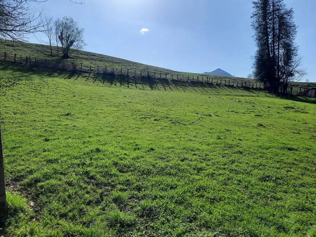 Aed - Buildable Plot with Garden in Sare