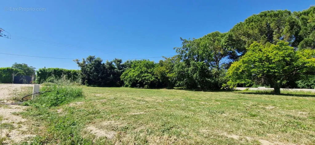 Aed - Constructible Plot with Orchard in Mondragon