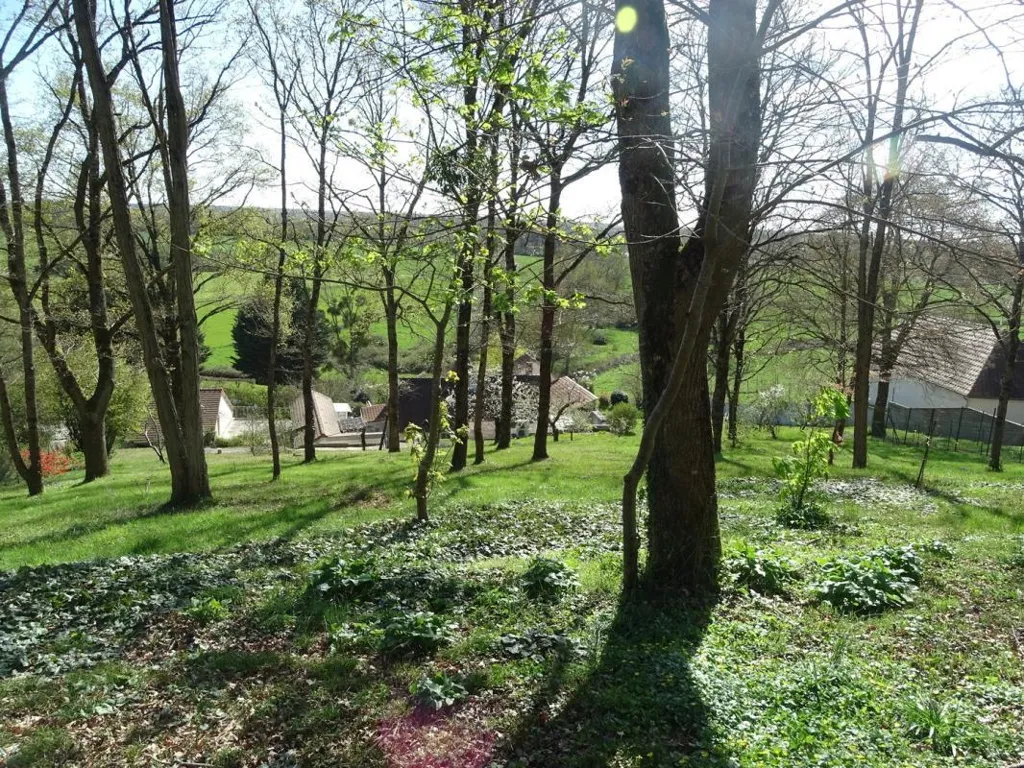 Jardin - Maison Individuelle avec Grand Jardin à la Campagne