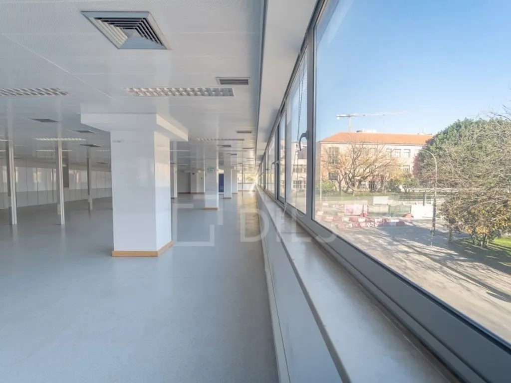 Toad - Office Space with Natural Light in Porto