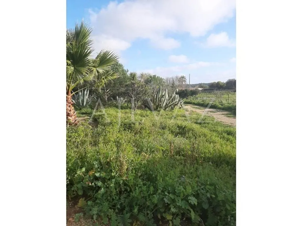land_plot