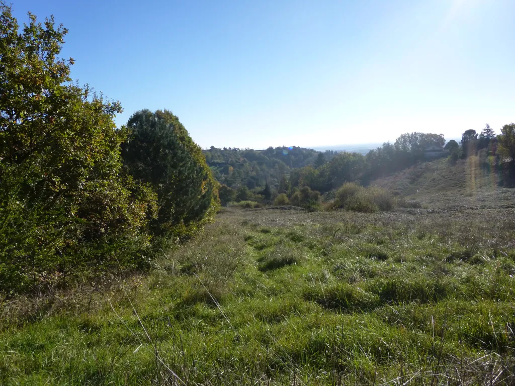 Jardin - Terrain Constructible avec Vue sur la Garonne à Moissac