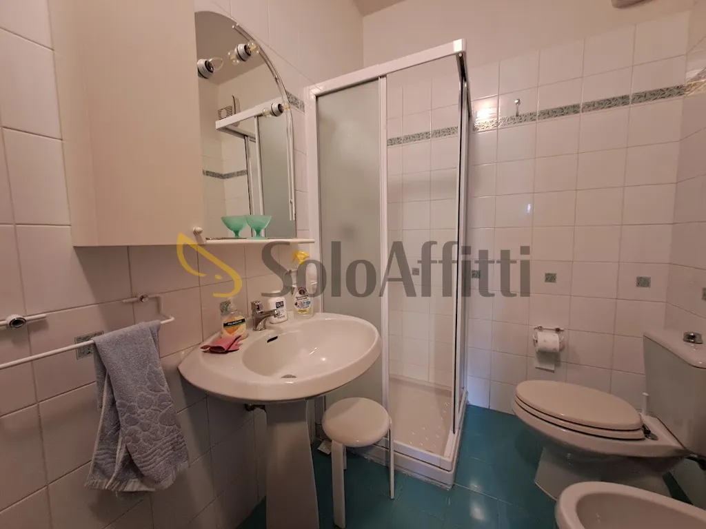 Salles de bain - Shared Apartment with Terraces in Careggi