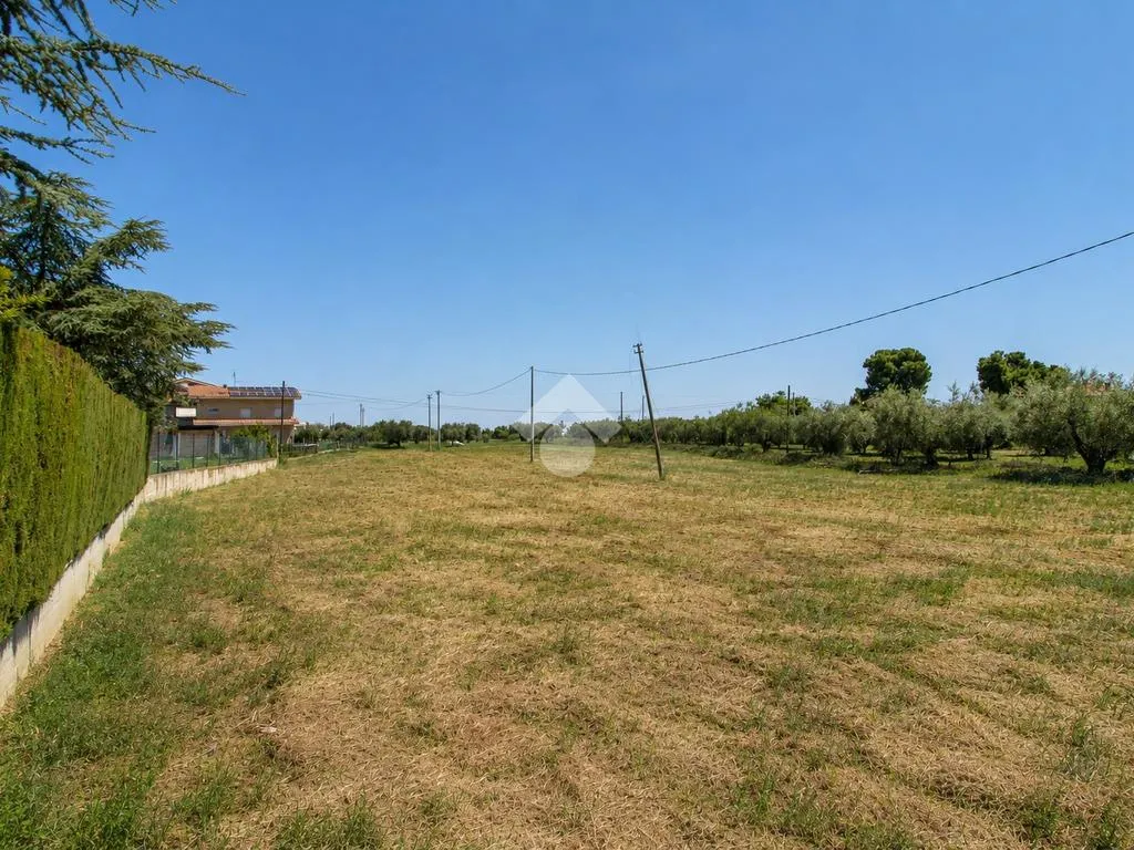 Garden - Buildable Residential Plot in Mosciano Stazione