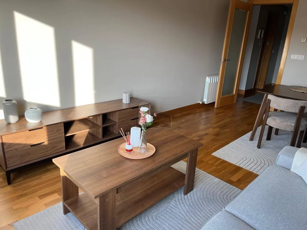 Séjour - Furnished Flat with Garden near Gran Vía, Vigo