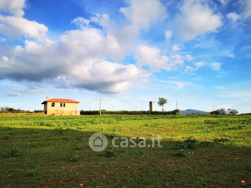 Jardin - Rustic Casale with 3 Hectares in Viterbo