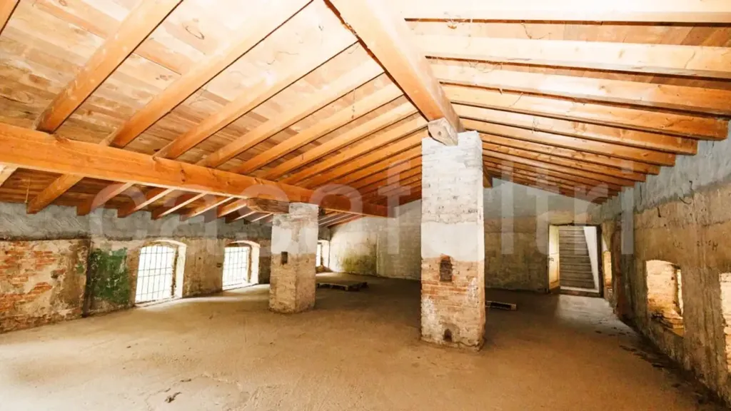 Toad - Historic Villa for Renovation in Stezzano