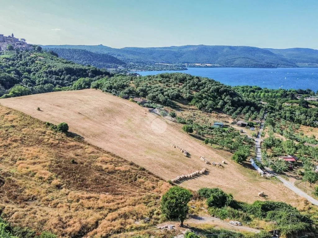 Villa with Lake View in Bracciano