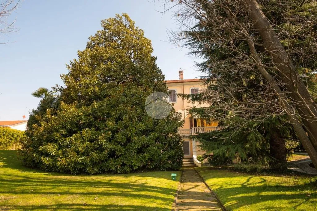 Garden - Historic Villa with Garden and Pool in Pianezza