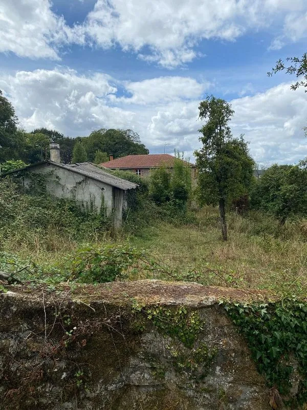 Garden - Rustic House with Olive Grove in Sobrado
