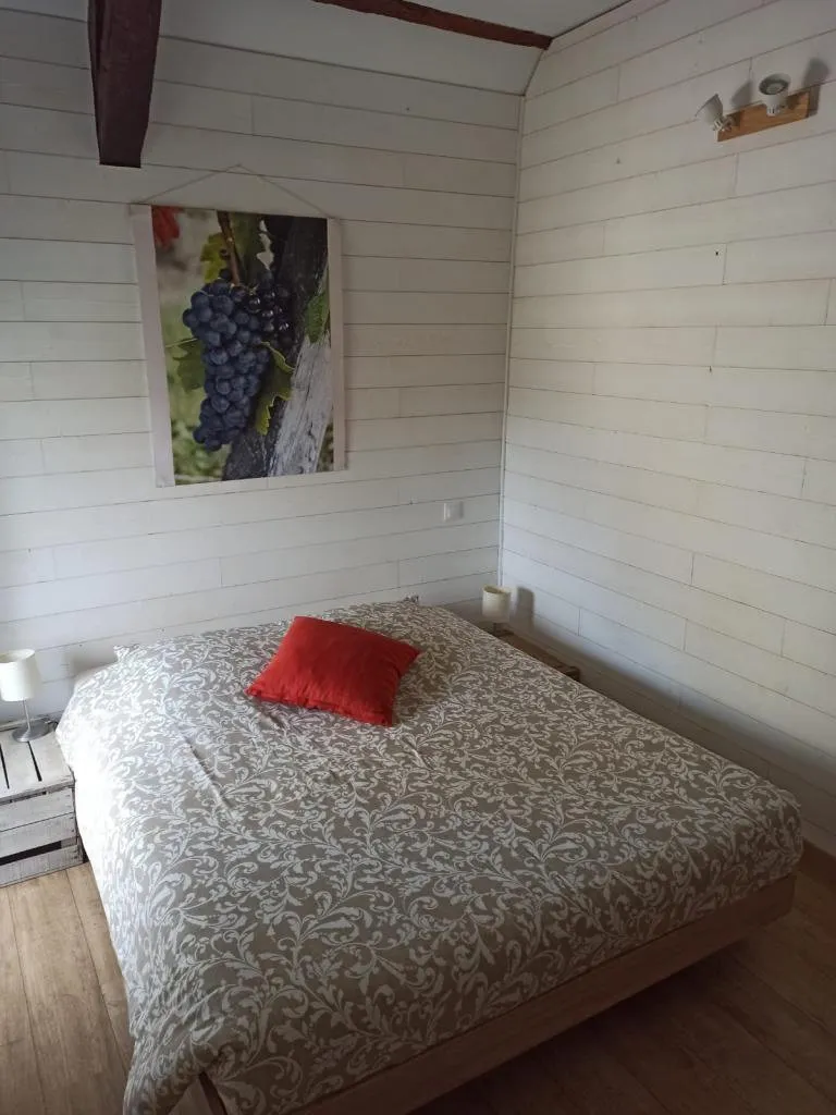 Magamistoad - Renovated House with Garden in Benais