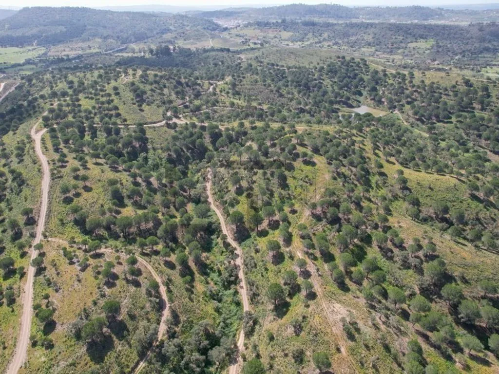land_plot