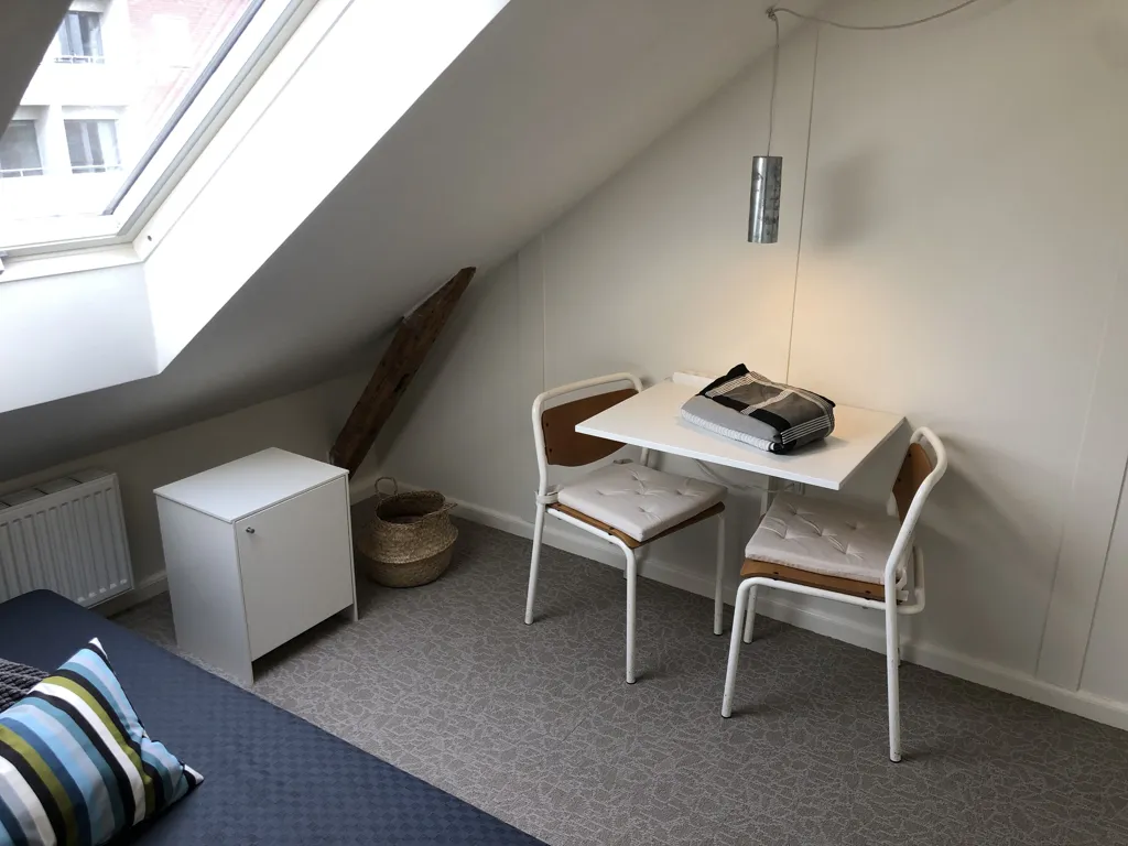 Appartement 1 pièces à Odense
