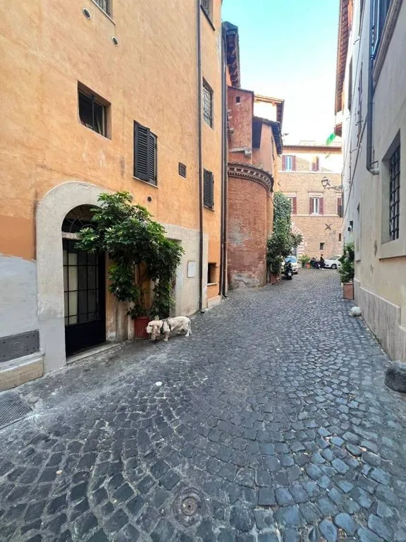 Aed - Luxury Flat with Historic Views in Rome