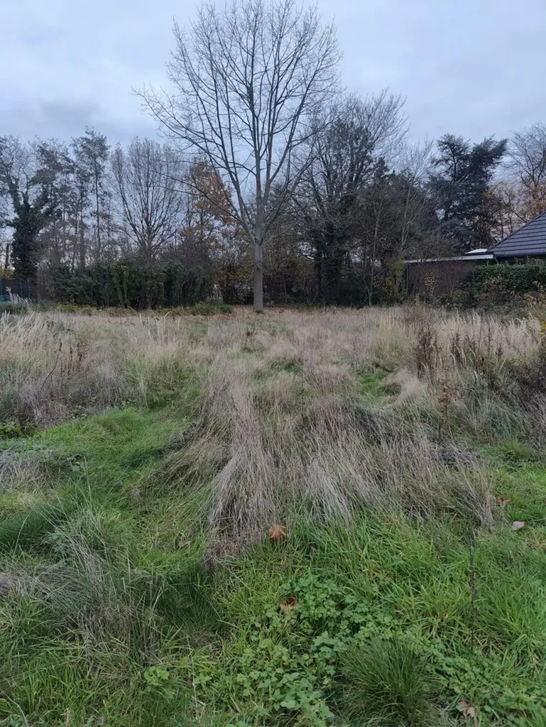 Jardin - Terrain pour HOB dans Rue Calme à Haacht