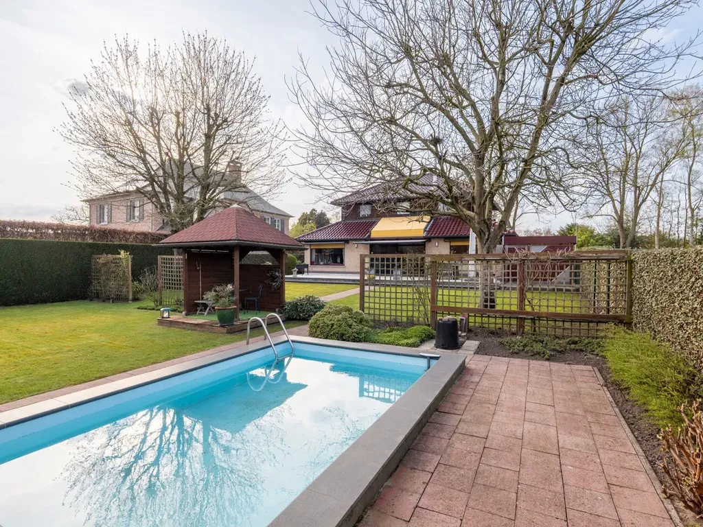 Pool - Detached House with Pool in Hoogstraten