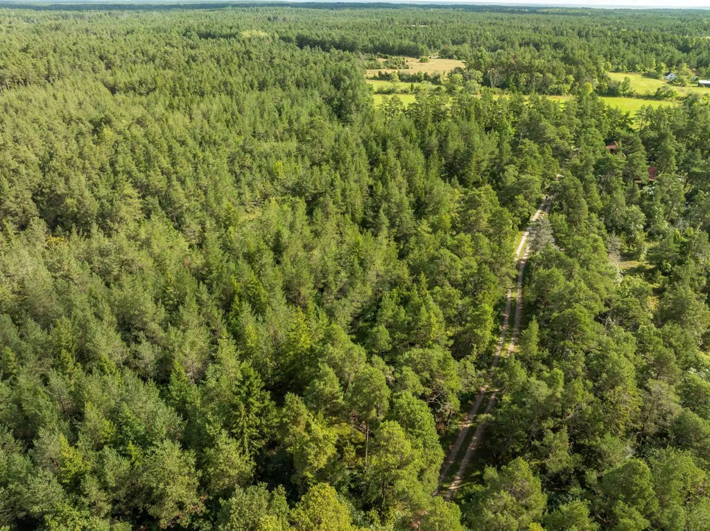Õhuvaade - Large Plot with Preserved Vegetation in Anga