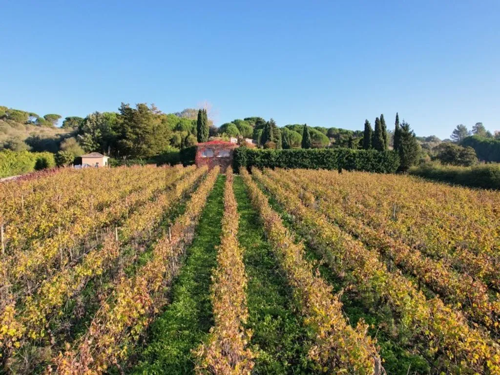 Vue aérienne - Farm with Pool and Vineyard in Azeitao