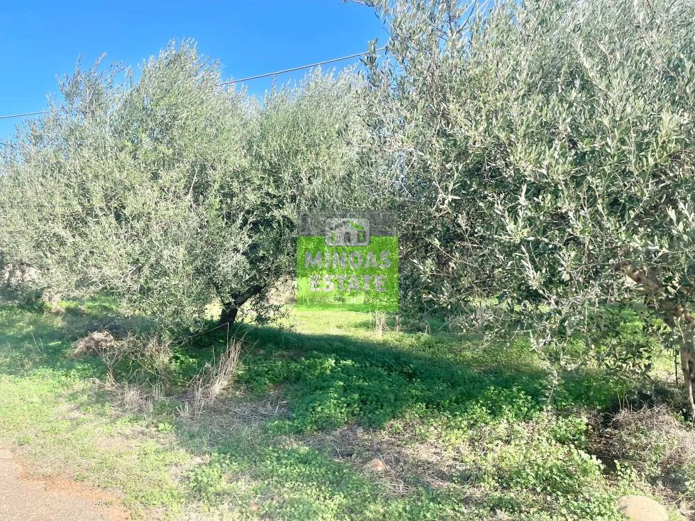 Aed - Corner Plot with Sea View in Tavronitis