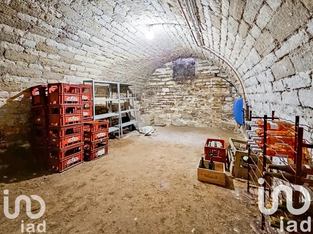 cellar