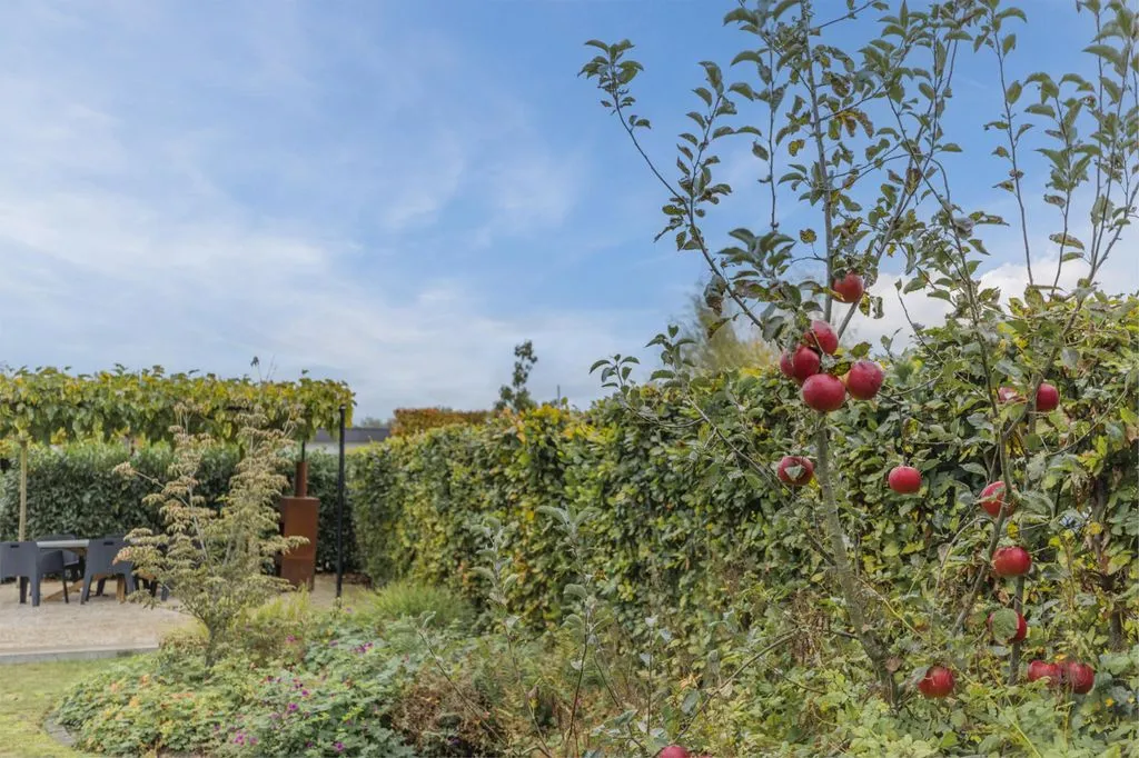 Jardin - Luxury Villa with Pool in Berkel-Enschot