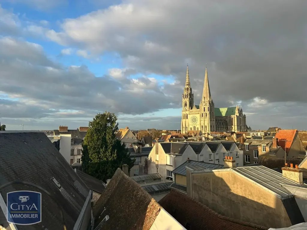 Toad - Studio with Roof View in Chartres Centre