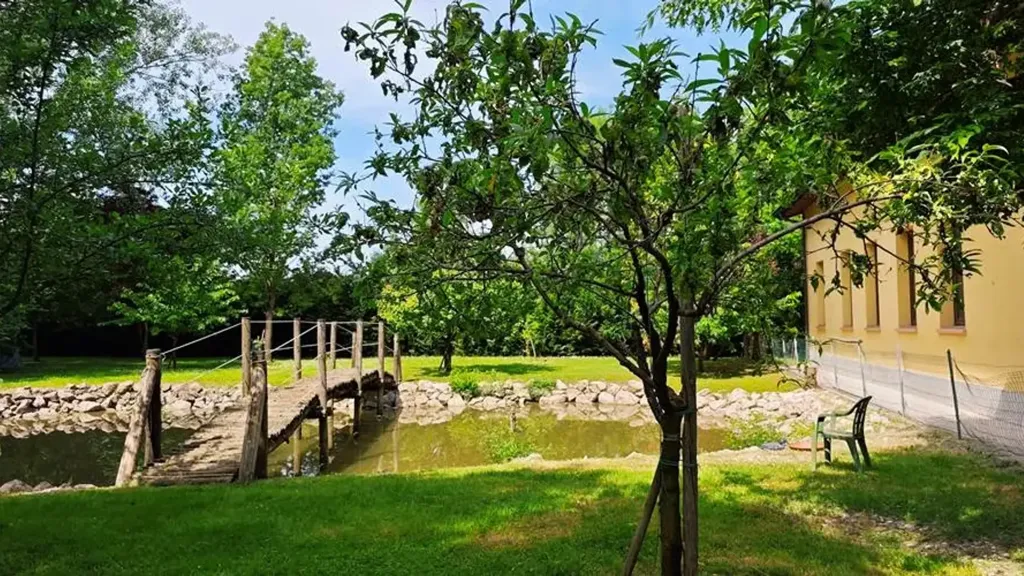 Garden - Villa with Pool and Garden in Correggio