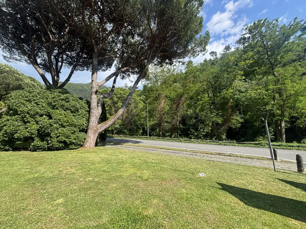 Garden - Panoramic Quadruplex in Montignoso
