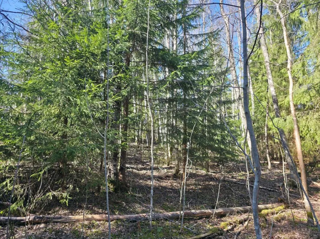 Bien à Ylöjärvi