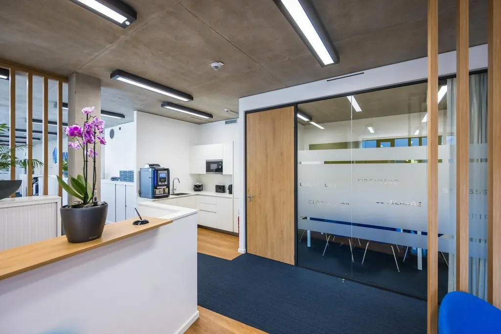 Studio - Office Space in Leudelange