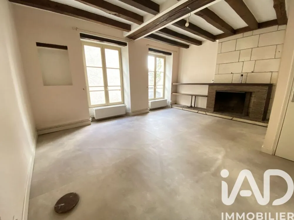 Toad - Mixed-Use Property with Garden in Chatillon-sur-Indre