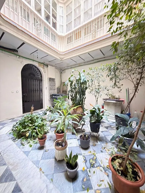 Jardin - Reformed Apartment with Balcony in Cádiz